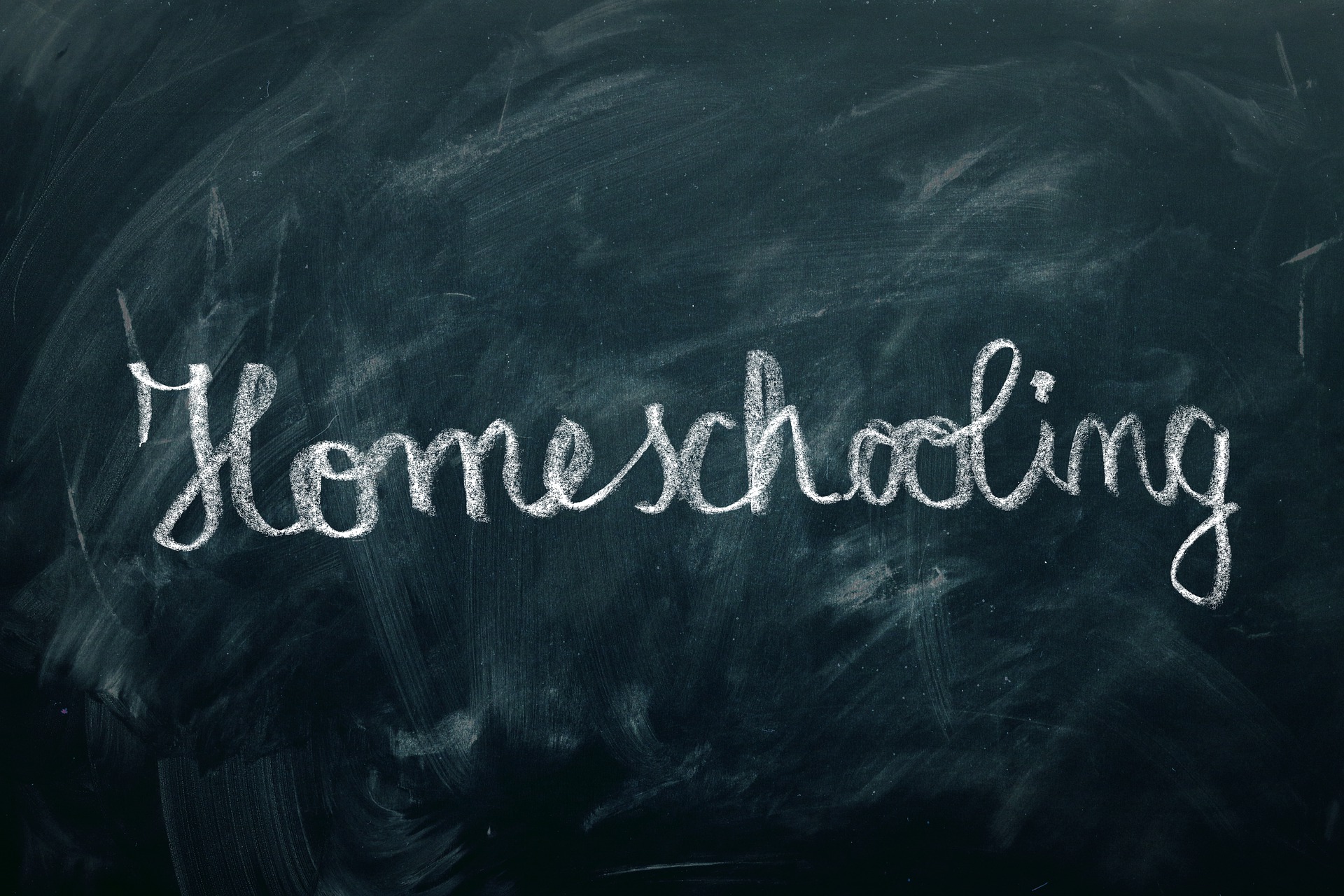 what-do-understand-by-homeschooling-scholarships-graduates-government